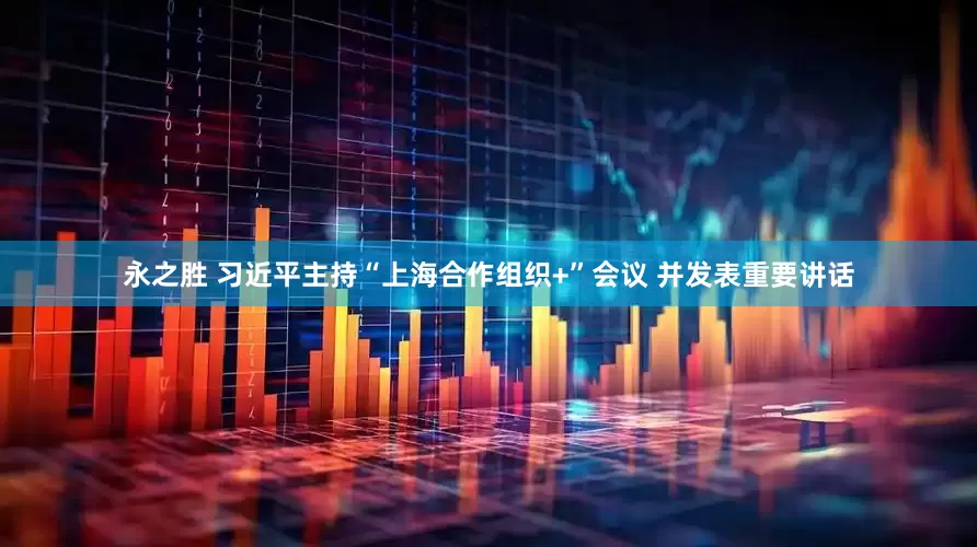 永之胜 习近平主持“上海合作组织+”会议 并发表重要讲话
