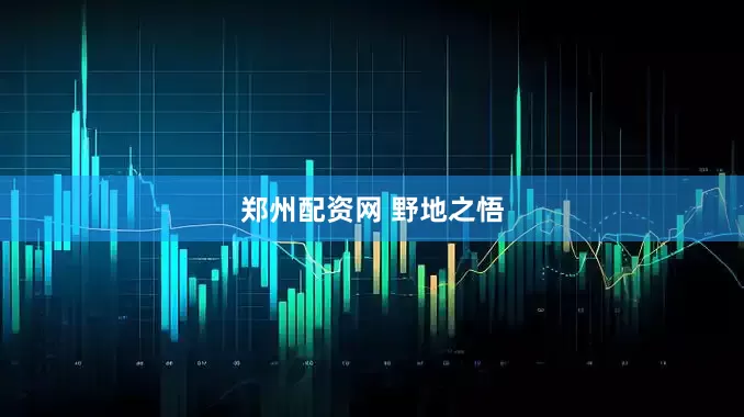 郑州配资网 野地之悟