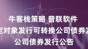 牛客栈策略 普联软件 向不特定对象发行可转换公司债券发行公告